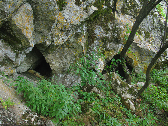 vrHogryan01