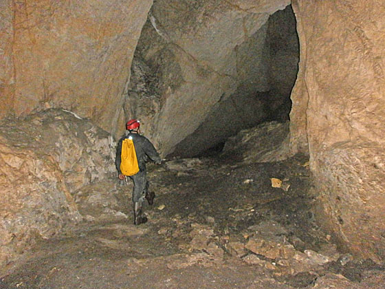 bs07
